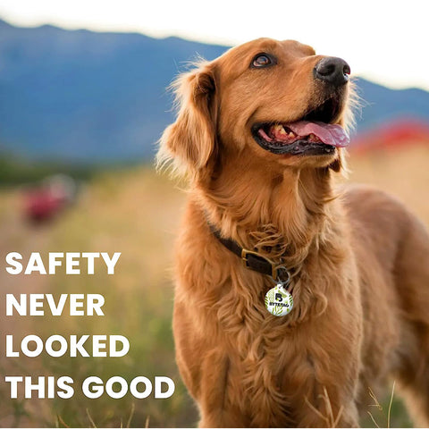 ByteTag: The Ultimate Pet ID Tag for Polkdogs-Items Online ByteTag: The Ultimate Pet ID Tag for Polkdogs-Items Online