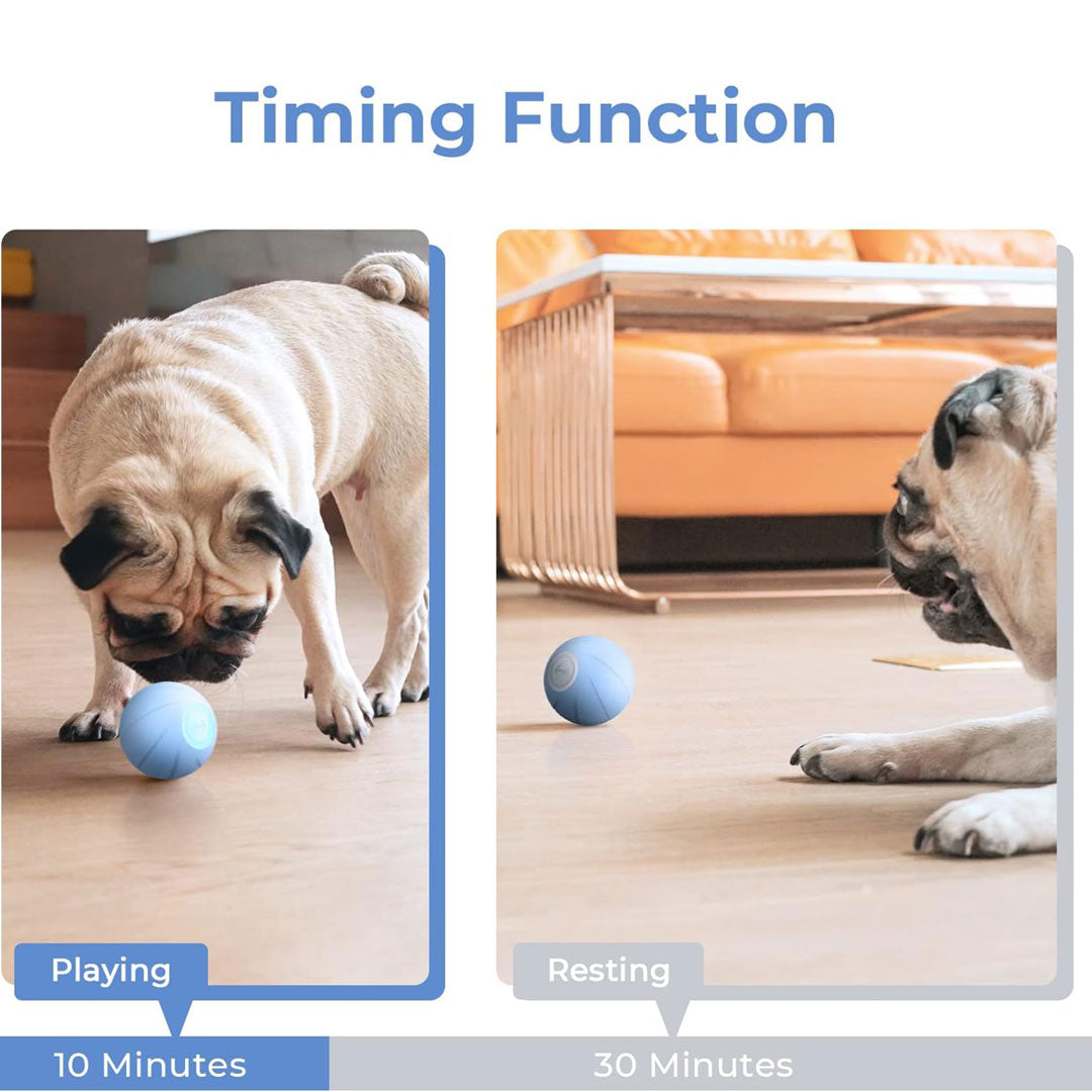 Bouncing, Rotating, and Rolling Ball Toy for Dogs