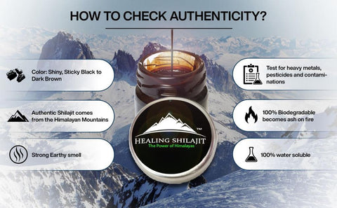 Himalayan Healing Shilajit Resin 30g-Items Online